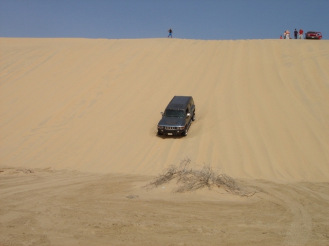 Name:  40m dune.JPG
Views: 892
Size:  125.5 KB