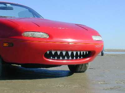 Name:  Shark tooth grille.jpg
Views: 888
Size:  10.7 KB