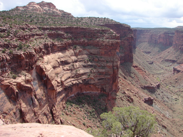 Name:  John Flat Iron Mesa 2007 048.jpg
Views: 1706
Size:  143.5 KB