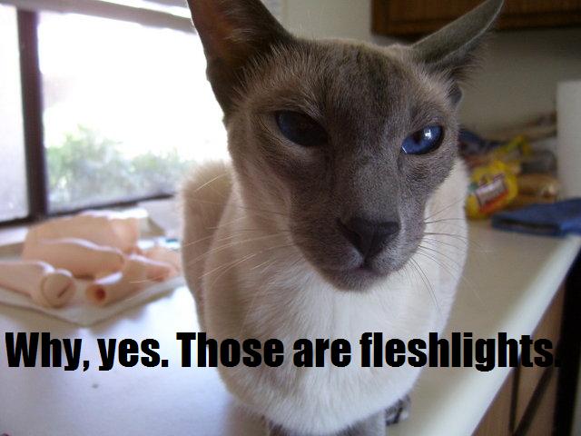 Name:  fleshlights.jpg
Views: 622
Size:  53.6 KB