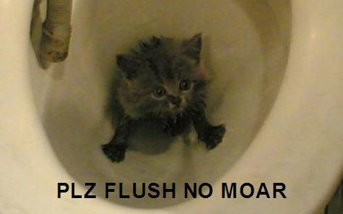 Name:  flush.JPG
Views: 435
Size:  13.9 KB