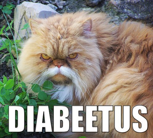 Name:  diabeetus.jpg
Views: 357
Size:  68.4 KB