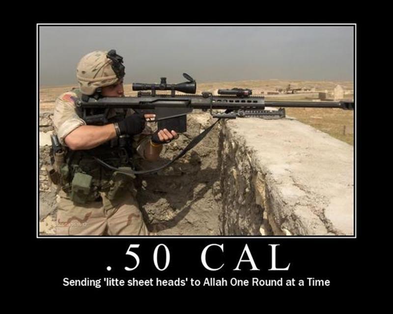 Name:  .50 cal (Medium).jpg
Views: 1610
Size:  53.7 KB