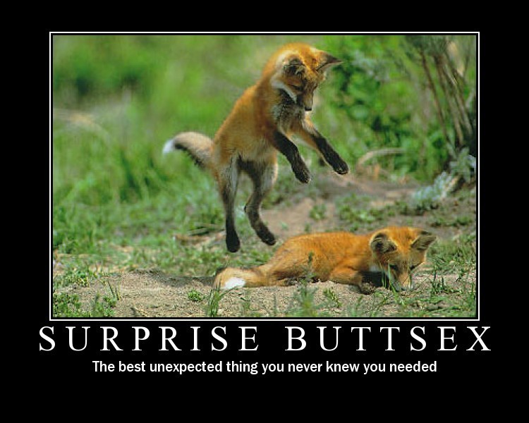 Name:  surprisebuttsex.jpg
Views: 801
Size:  92.2 KB