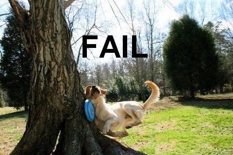 Name:  dog fail.JPG
Views: 207
Size:  45.6 KB