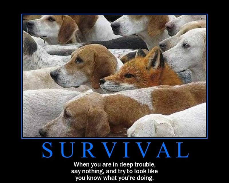 Name:  survival.jpg
Views: 7610
Size:  72.0 KB