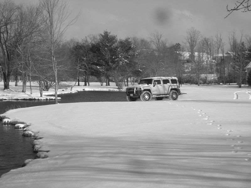 Name:  Hummer in snow 10.JPG
Views: 1031
Size:  89.0 KB